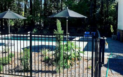 The Role of Fence in New Pool Installation