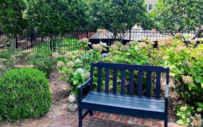Elegant Backyard Fence Ideas: Style, Privacy & Materials